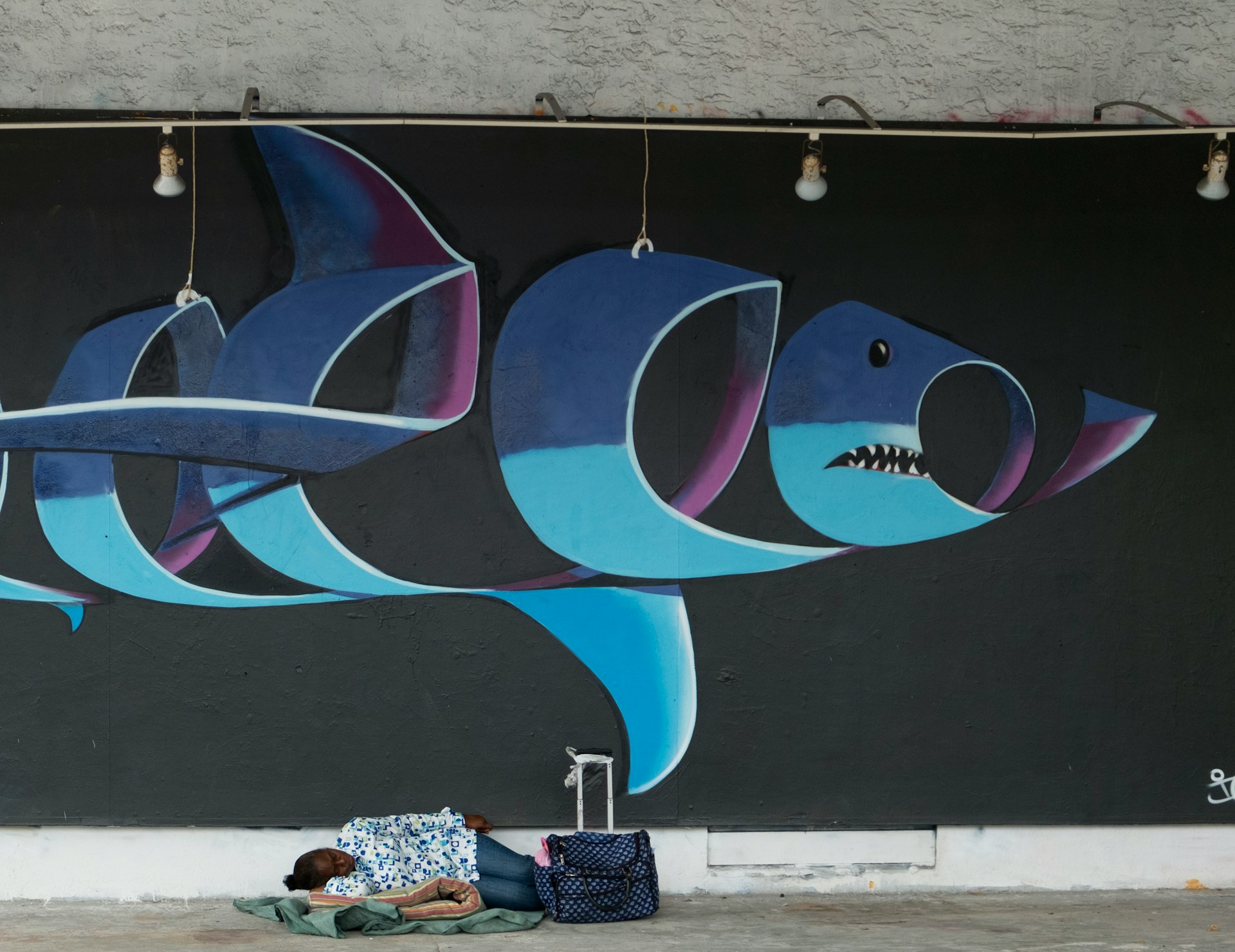 a mural of a shark on the side of a building